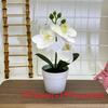 Botanical Phalaenopsis Faux Fake Flower Props For Bridal Events And Party Decor