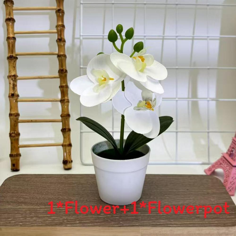 

Flower Phalaenopsis Botanical Props For Bridal Events And Party Decor White