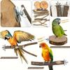 8Pcs Natural Wood Parrot Perch Set Bird Standing Stick Platform Cage Accessory Bird Supplies