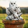 Creative White Owl Statue Stake Acrylic Animal Figurine Sculptures Garden Floor Plugs  Lawn