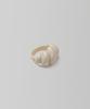 108Pound Formica Big Croissant Ring_Cream