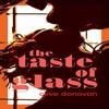 The Taste of Glass by Clive Donovan Paperback Book 9781788649278