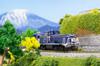 Rokuhan Z Gauge DE10 Type 1109 Tobu Railway DL "Taiju" T012-10 Diesel Locomotive Model