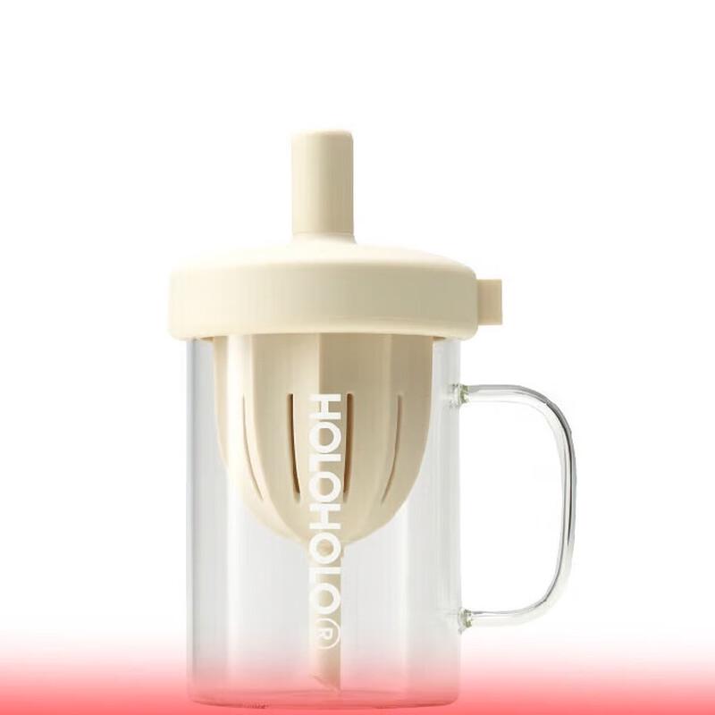 HOLOHOLO 600ml Glass Tea Infuser & Straw Bottle
