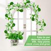 Plant Stakes For Indoor Plant Stem Support Trellis Racks Climbing Bracket Tomato Cages Garden Vegetable Cucumber Support