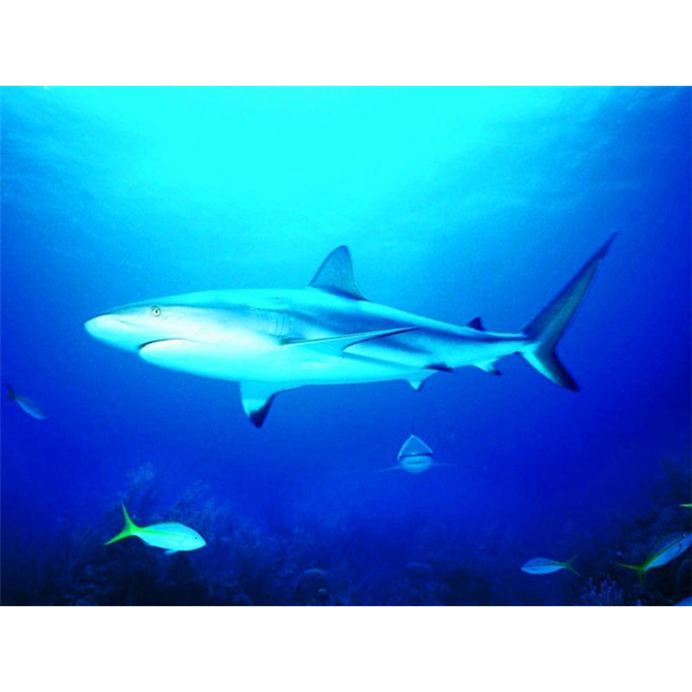 Sada 5D DIY diamantových obrazů Zvířecí žraločí obrázky kamínků Diamantové vyšívání Výprodej Mozaika Křížkový steh Dekorace