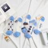 5 Pairs of Women's Summer Thin Cute with Transparent Boat Socks