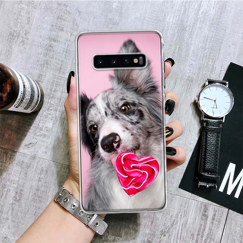 Border Collie Clever Phone Case For Samsung Galaxy S26 S25 Edge S24 S23 FE S22 Ultra S21 Plus S20 + Fundas Cover Coque Galaxy S2
