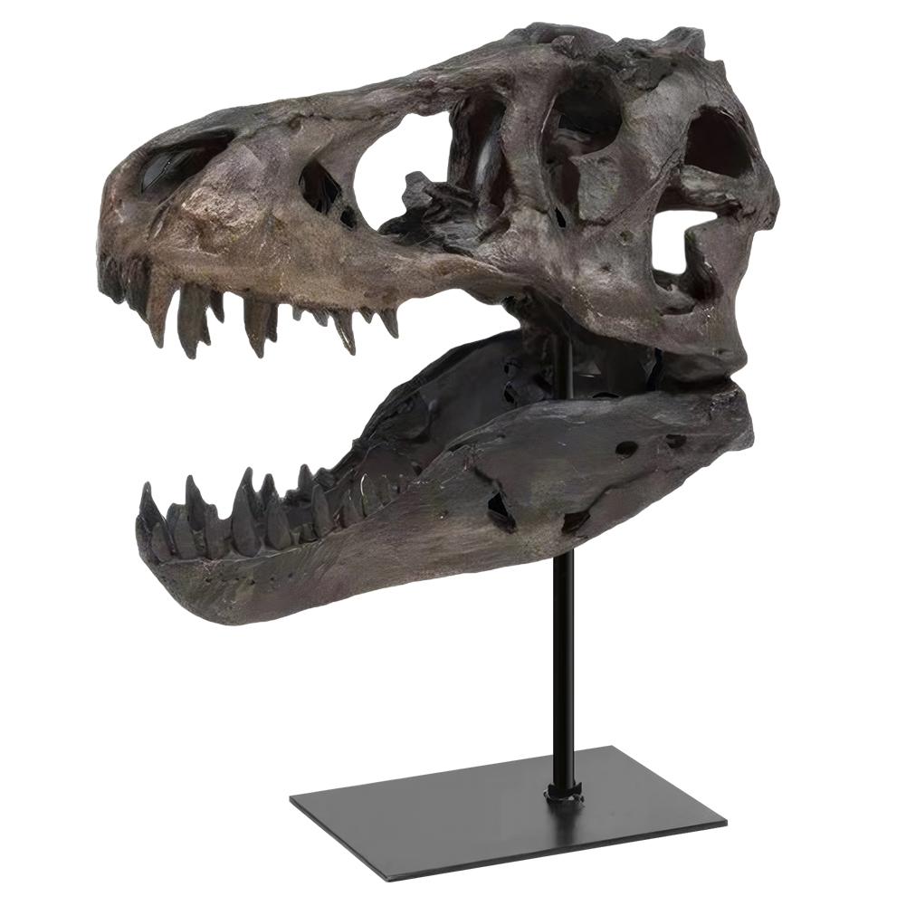 

Tyrannosaurus Rex Skull Statue with Bracket Replica Head Sculptures Skull Sculptures Gift for Kids and Adults China Mainland