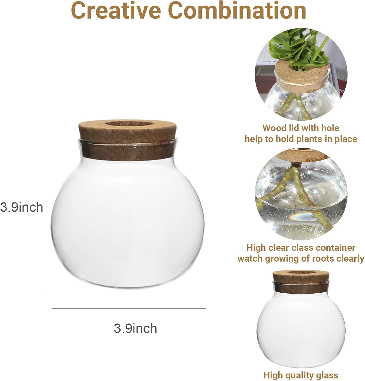 

Glass Terrarium Vase Set of 4 for Hydroponic Plants, Desktop Glass Planter,Centerpiece Office,Door H United States