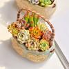 Corrosion-resistant Ceramic Succulent Planter Decorative Nordic Flowerpot Ornament  Desktop