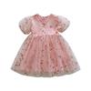 Girl's Short Sleeve Tulle Princess Dress