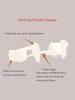 Vampire Teeth Dentures Fangs Classic PP Halloween Party Cosplay Prop Halloween Costume Party Favors
