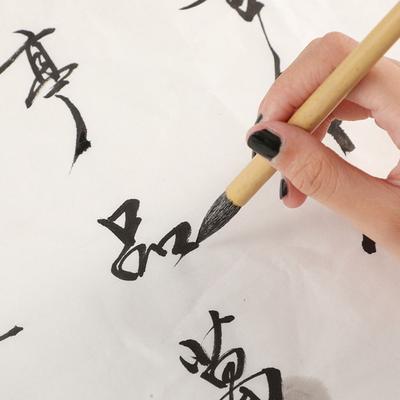 Wolf Hair Scriptures Writing Brush Oil Painting Art Paint Brush Chinese Calligraphy Brush  Class