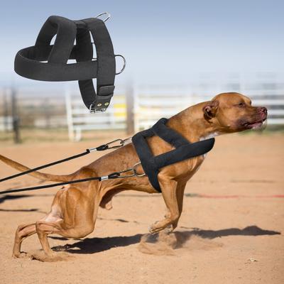 Fast DeliveryDog Weight Pulling Harness Soft Padded Dogs Harnesses Pitbull Big Large Dogs Training Harness Pet Agility Products
