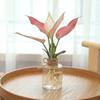 Transparenter Blumentopf Vase Hydrokulturbehälter Miniaturlandschaft Kunststoff Öko-Flasche Heimdekoration