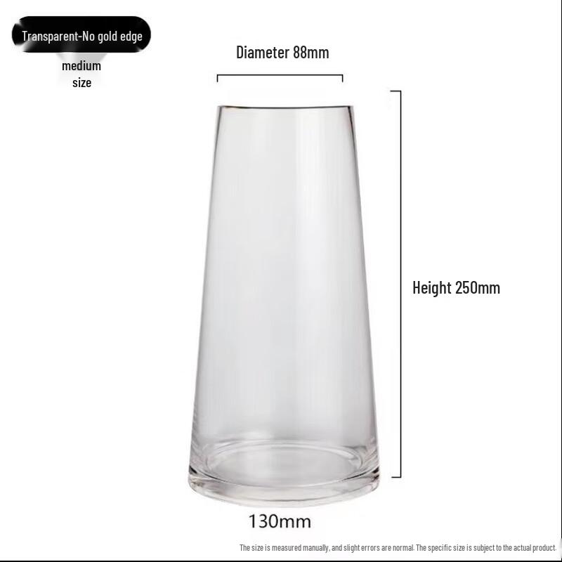 

Minimalist Transparent Glass Vase