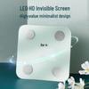 Little Bear Smart Body Fat Scale (CN Version)