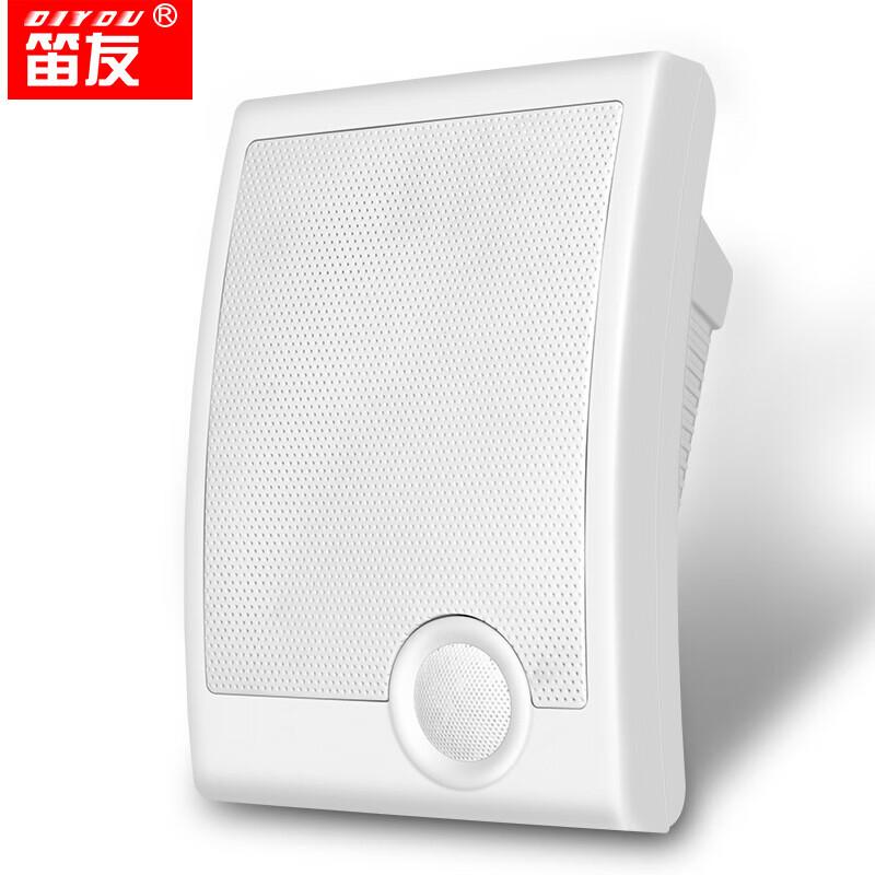 Diyou 570 Commercial Wall-mounted Speaker CN Plug (adapter Included)