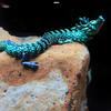 3d Printing Chinese Dragon Ornaments Non Fading Aquarium Fish Tank Decorations For Freshwater Saltwater