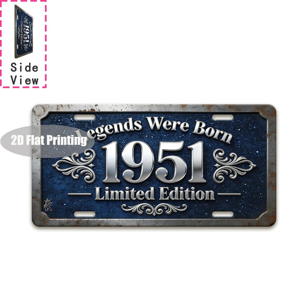 Vintage Distressed City Name Year Text Slogan License Plate Metal Tin Sign Retro Wall Decor For Bar Cafe Home Garden