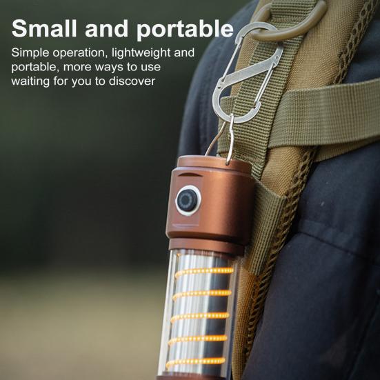 S-Shaped Aluminum Alloy Hanging Buckle Small Carabiner Clip Anti Theft Double Snap Hook Mini Locking Carabiner