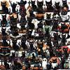 50pcs Halloween Black Cat Transparent Stickers Horror Goth Black Cat Cartoon Sticker Luggage Phone Suitcase Retro Decals Toy