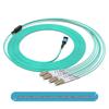 MPO-LC 8-Core OM4 Multimode Fiber Optic Patch Cable