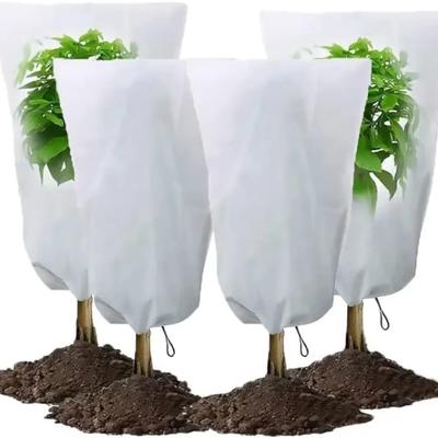 Plant Cover Winter Warm Cover Tree Shrub Plant Protecting Bag Frost Protection for Yard Garden Plants Small Tree Against Cold