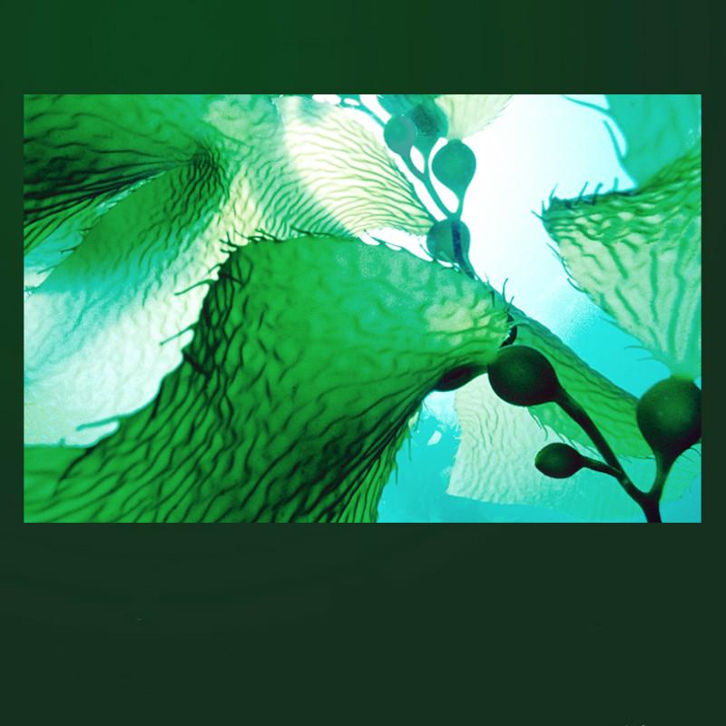 Augenmaske feuchtigkeitsspendend, sanft feuchtigkeitsspendend gegen Augenringe, Augenklappe, Augenpflege