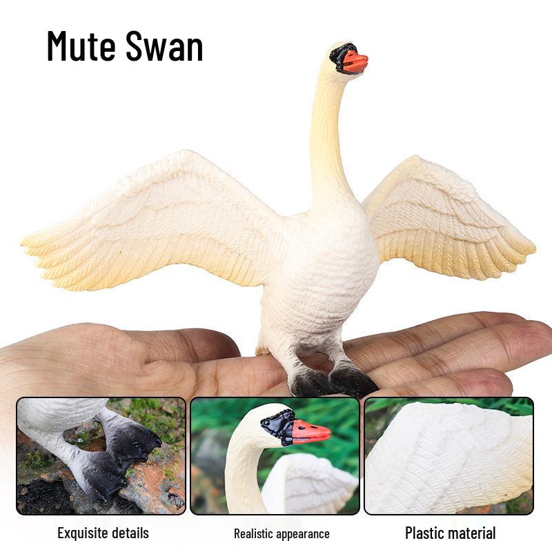 Realistic Warty-Nosed Swan Heart Model: Children's Cognitive Toy & Zoo Decoration
