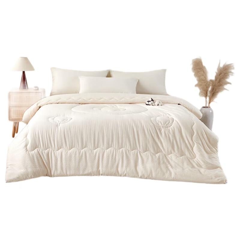 Hengyuanxiang TGB2068 2-in-1 Duvet