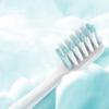 Leng Suan Ling Cloud Feel Gum Care Toothbrush