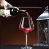Wine Decanter and Bordeaux Glass Set