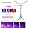 5V USB LED Grow Light LED Plant Light Full Spectrum Phyto Lamp With Tripod Stand For Indoor Vegetable Flower Seedling