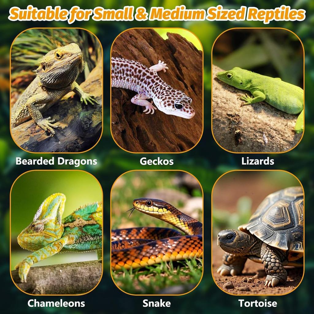 BNOSDM Bearded Dragon Windows Perch Reptile Hammock with Strong Suction Cups Soft Warm Lizards Bed Double Layered Cage Accessories for Chameleon,