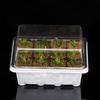 3Pcs/Set 12 Cell Seed Starter Kit Starting Plant Propagation Tray Dome Gardening