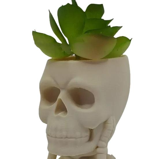 Halloween Skull Flower Pot No See Speak Hear Creepy Skull