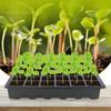 Thermal Versatile Eco-friendly Thermal Seedling Tray Plastic Greenhouse Bestseller Wholesale Thermal Insulation Space-saving