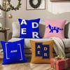 Avant-garde Fashion Ader Error-E Pillow Case Silky Elegant Comfort Sofa Bed  Invisible Zipper Beach Pillowcase