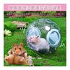 Hamster Toy Portable Ball for Small Animals Transparent Breathable Hamster Ball Walk Runner Ball Play Equipment (Green, Large: 20cm)