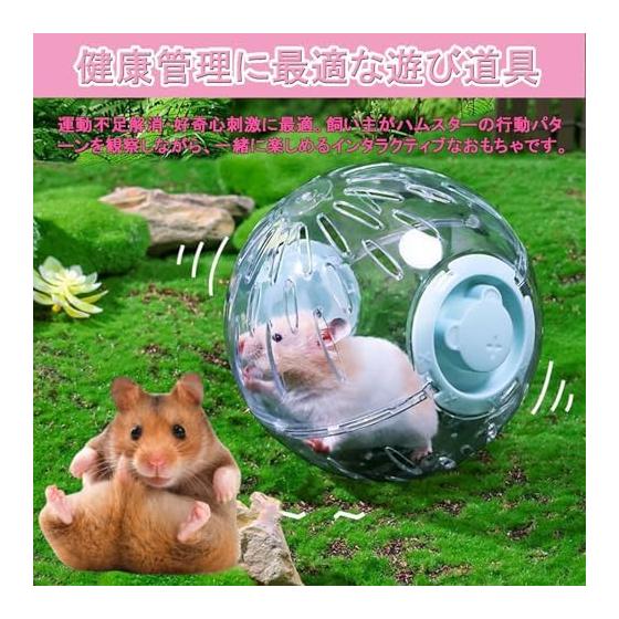 Hamster Toy Portable Ball for Small Animals Transparent Breathable Hamster Ball Walk Runner Ball Play Equipment (Green, Large: 20cm)