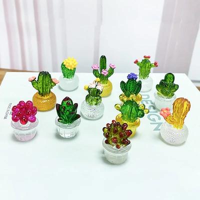 Deko & Wohnaccessoires – Dekorative Terrarien