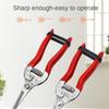 Stainless Steel Pruning Scissors Gardening Scissors Household Fruit Picking Grape Scissors Garden Branch Pruning Tools