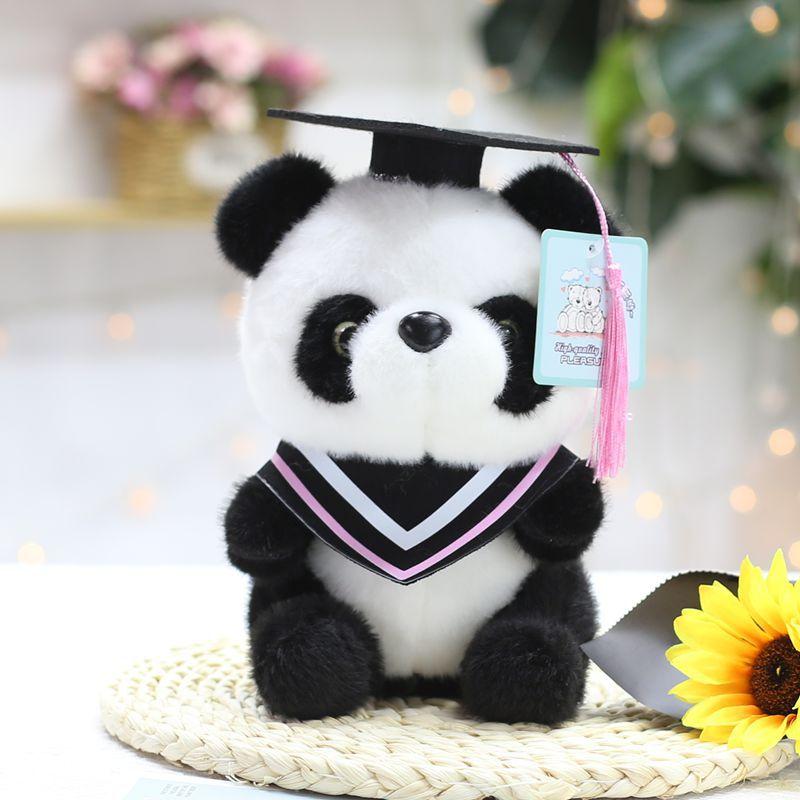 Student Graduation Dr. Child Panda Doll Doll Plush Toy Doll Student Graduation Gift