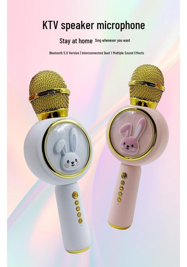 All-in-One Wireless Karaoke Bluetooth Speaker & Microphone for Children's Home Use