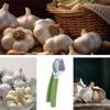 AEE4-Stainless Steel Garlic Press Handheld Garlic Smasher Squeezer Crusher Mincer Manual Press Grinding Tool For Kitchen