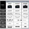 Panasonic Lumix GH5M2 Mirrorless Camera with Zoom Lens Kit High-Magnification (Black) DC-GH5M2H