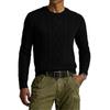 Polo Ralph Lauren Sweater Standard Men's Polo Black MNPOSWE16822366-001