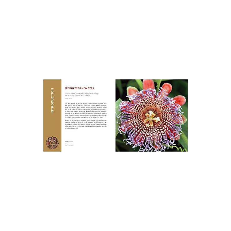 The Mandala Book: Patterns of the Universe